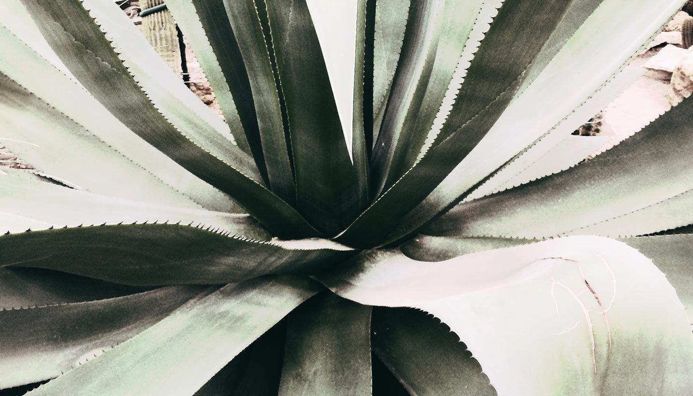 strAtMANN & heNtschel